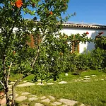 Stagnone Area Zero Bed and Breakfast