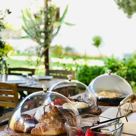 Stagnone Area Zero Bed & Breakfast Birgi Vecchi