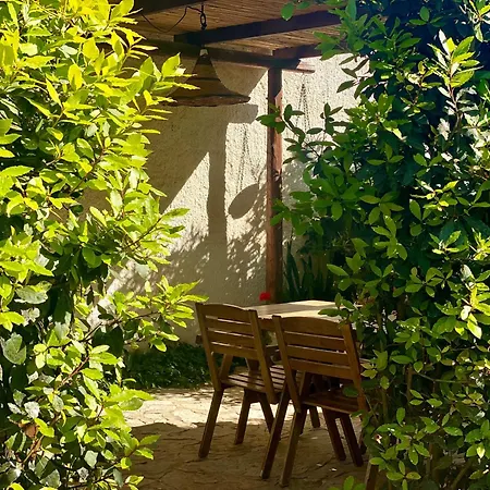 Stagnone Area Zero Bed & Breakfast Birgi Vecchi